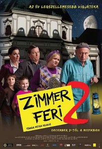 zimmerferi2