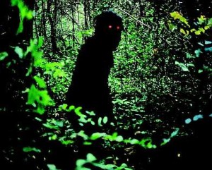 boonmee01