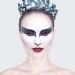 blackswan01