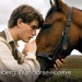 warhorse02