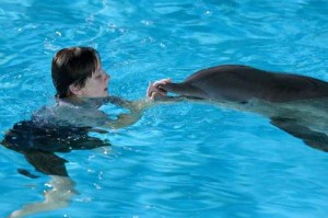 delfines01