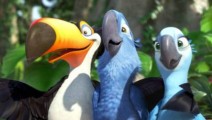 rio01