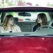 laggies01