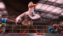 storks01