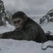 warfortheplanetoftheapes01