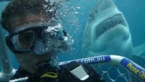 openwater3cagedive01