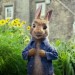 peterrabbit01