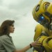 bumblebee01