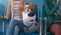 thesecretlifeofpets01