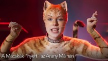 razziescats-main