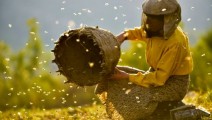 honeyland01